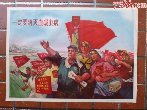不动产权证号里面有字母吗