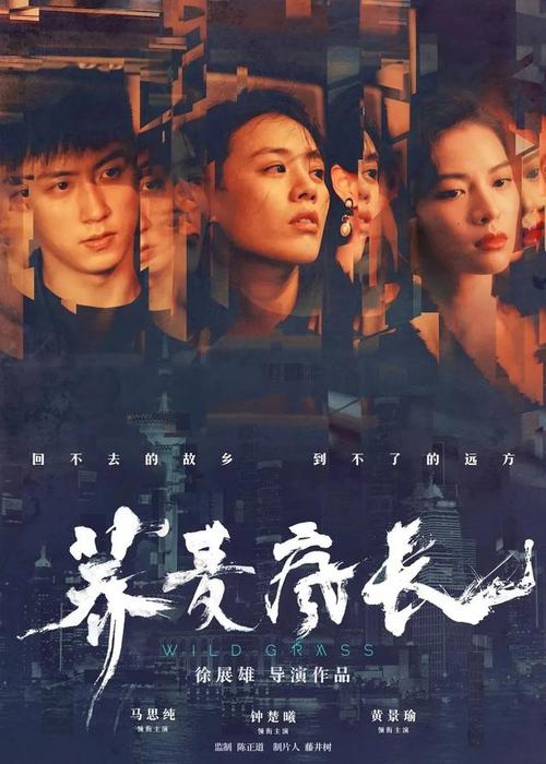 大阪学院大学成绩单修改